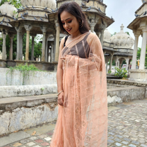 skin bollywood net saree