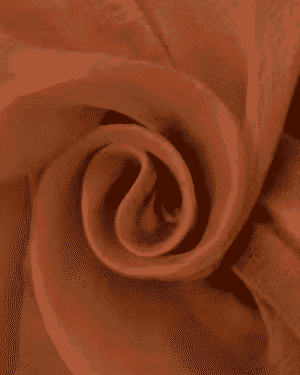 buy brown plain organza fabric