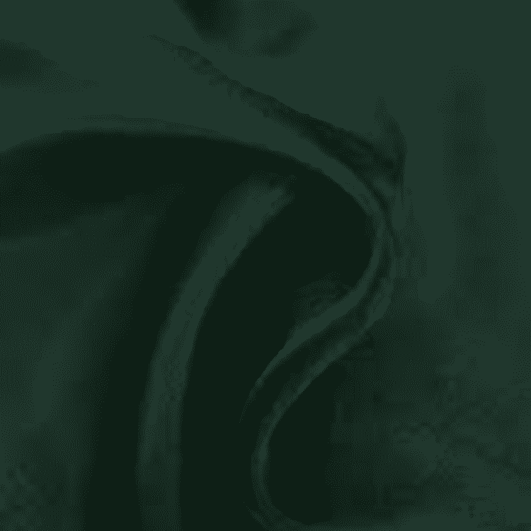 Buy bottle Green plain organza fabric
